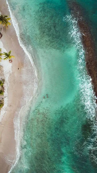 Una Hermosa Vista Playa Del Caribe Durante Verano —  Fotos de Stock