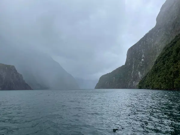 Beautiful Landscape Milford Sound Mountains Sea Foggy Day — Stock Photo, Image