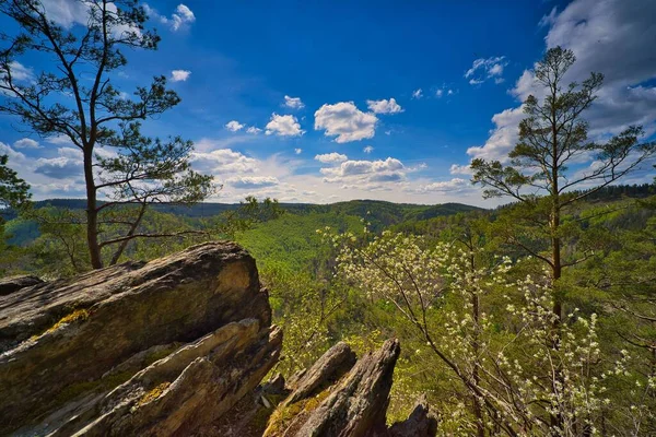 Yeşil Yoğun Thüringen Ormanı Nın Arka Planında Bir Sırt Kayasının — Stok fotoğraf