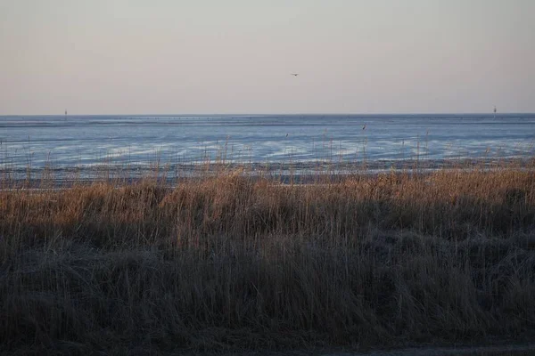 秋季傍晚在德国下萨克森Cuxhaven Sahlenburg看到的瓦登海海滩 — 图库照片