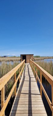 Danimarka, Kopenhag, Vestamager 'daki' Store Hoj So 'gölündeki kuş izleme evinin dikey görüntüsü.