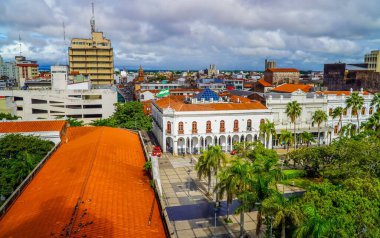 Güzel bir bina manzarası ve palmiye ağaçları olan bir park.