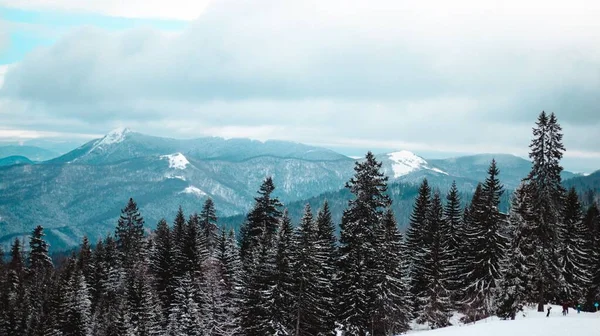 Όμορφο Τοπίο Δάσος Έλατα Και Βουνά Καλυμμένα Χιόνι Συννεφιασμένη Μέρα — Φωτογραφία Αρχείου