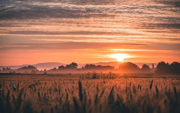 Una Hermosa Puesta Sol Sobre Paisaje Brumoso Campo Alemania — Foto de Stock