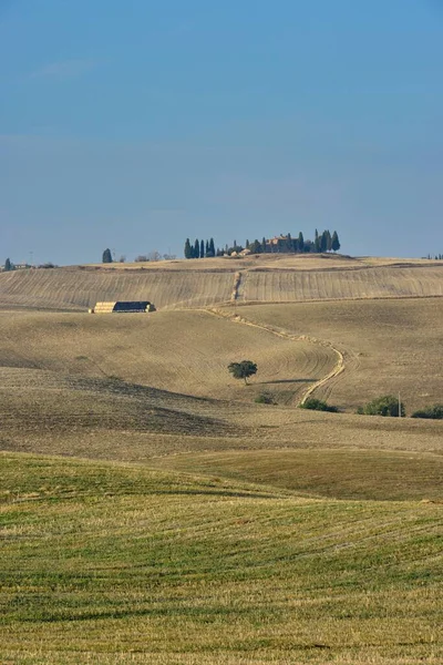 Een Verticale Opname Van Het Prachtige Landschap Van Toscane Aan — Stockfoto