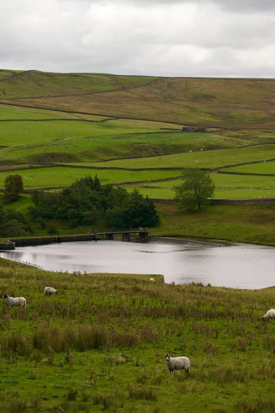 Paisaje Natural Con Lago Día Nublado —  Fotos de Stock