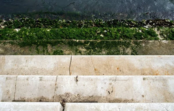 Escadas Degraus Que Vão Para Água Rio — Fotografia de Stock
