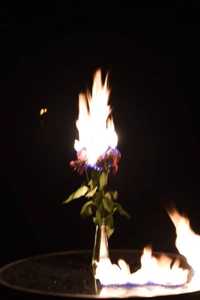 Une Fleur Brûlante Sur Table — Photo