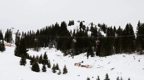 Kábel Autó Több Gondola Kabinok Felett Havas Hegyek Fák Hóesés — Stock Fotó