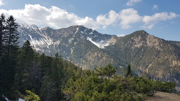 Ammergau Alplerindeki Notkarspitze Dağının Manzarası — Stok fotoğraf