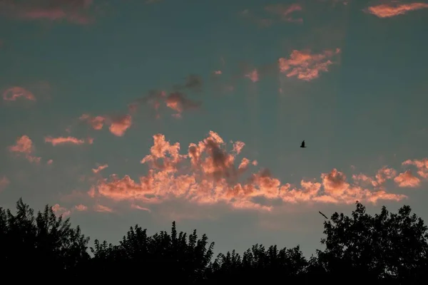 Uma Vista Fascinante Pôr Sol Dourado Sobre Árvores — Fotografia de Stock