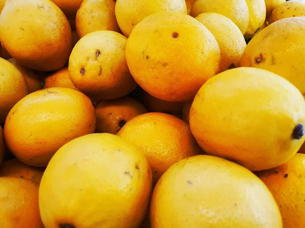 Sinaasappeloogst Veel Sinaasappels Sinaasappels Uit Het Veld Oranje Achtergrond Veel — Stockfoto