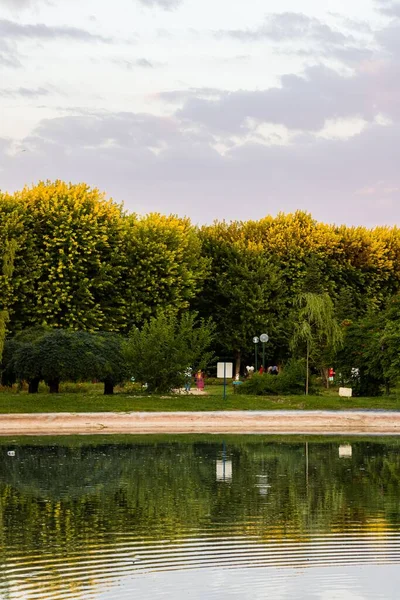 Sudaki ağaçların yansımasıyla sakin bir göl manzarası.