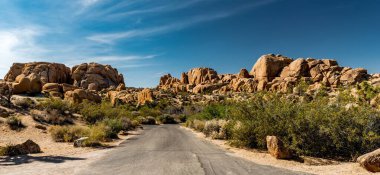 Kaliforniya, ABD 'deki Joshua Tree Ulusal Parkı' ndan geçen bir yol