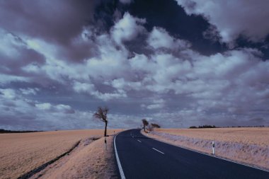 Arka planda kasvetli bulutlar ile kırsal alanda asfalt boş yol