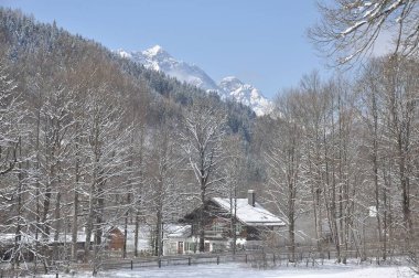 Almanya, Bavyera 'da beyaz karla kaplı bir ormandaki eski bir evin manzarası.