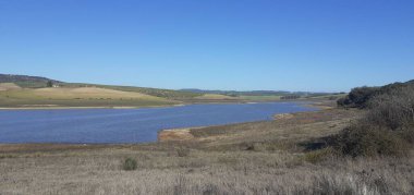 Açık mavi gökyüzünün altındaki bir ormanın güzel manzarası.