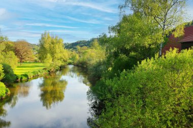 Gökyüzünün altında yeşil ağaçlar olan ormandaki güzel bir nehir manzarası.