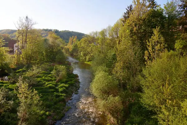 Een Prachtig Uitzicht Een Rivier Een Bos Met Groene Bomen — Stockfoto