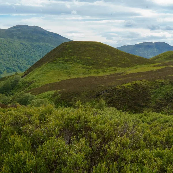 Ein Grüner Berg Mit Einem Wald Vordergrund — Stockfoto