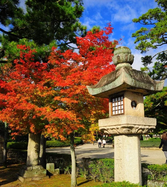 晴れた日には公園内の古い日本の神社の垂直方向の景色 — ストック写真