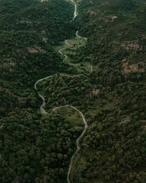 Uma Vista Aérea Serpentina Montanha Cercada Por Uma Natureza Verde — Fotografia de Stock