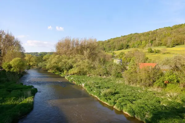 Een Prachtig Uitzicht Een Rivier Een Bos Met Groene Bomen — Stockfoto