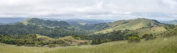 Een Panoramische Opname Van Bergen Bedekt Met Groene Bomen Onder — Stockfoto