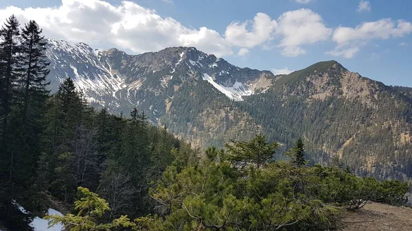 Ammergau Alplerindeki Notkarspitze Dağının Manzarası — Stok fotoğraf