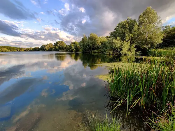 Una Splendida Vista Lago Calmo Con Riflesso Alberi Acqua — Foto Stock