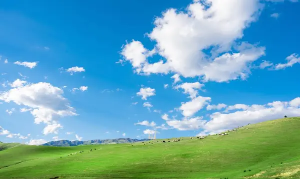 Güneşli bir günde yeşil tepelerin manzarası