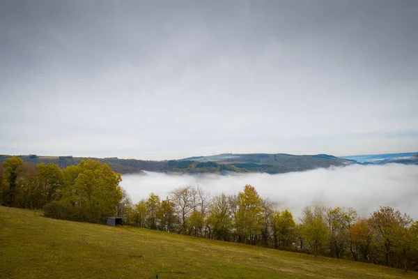 Мальовничий Вид Красиві Зелені Пагорби Деревами Вкритими Туманом — стокове фото