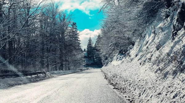 Sol Brillando Camino Forestal Rodeado Altos Pinos Cubiertos Nieve Jahorina —  Fotos de Stock