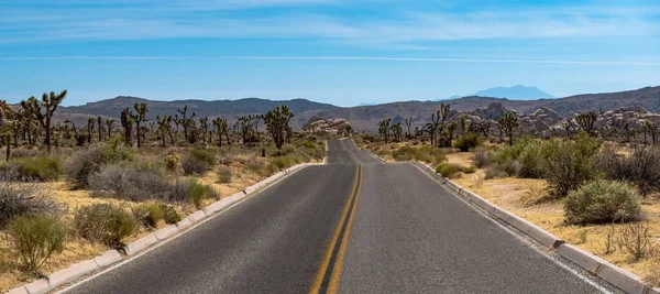 Una Strada Attraverso Joshua Tree National Park California Usa — Foto Stock