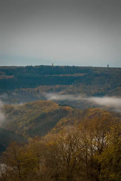 Мальовничий Вертикальний Вид Красиві Зелені Пагорби Деревами Вкритими Туманом — стокове фото