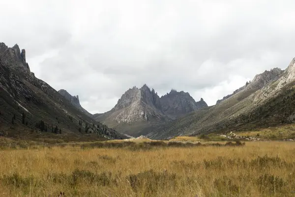Paisaje Con Campo Cordillera Fondo Día Nublado —  Fotos de Stock