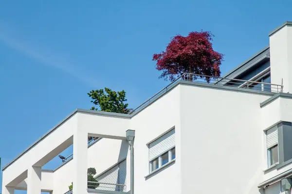 Tiro Ângulo Baixo Edifício Branco Com Árvores Varanda Sob Céu — Fotografia de Stock