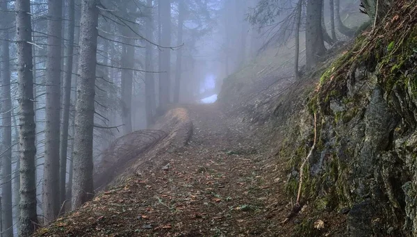 Misty Mountain Road Dolomites — Stock Photo, Image