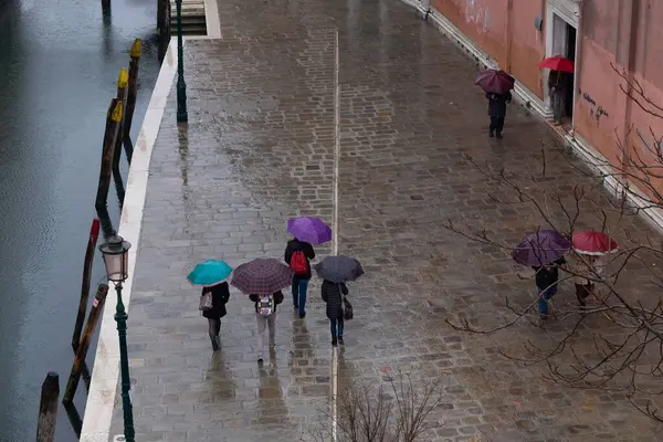 Die Menschen Die Venedig Mit Regenschirmen Spazieren Gehen — Stockfoto