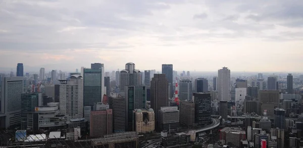 Panoramisch Uitzicht Een Stadsgezicht Een Sombere Dag — Stockfoto