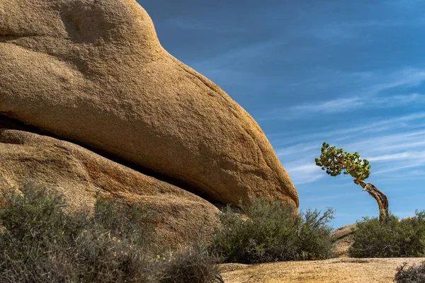 Hall Horrors Rock Formationer Joshua Tree National Park Kalifornien Usa — Stockfoto