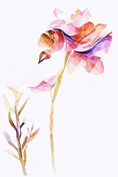 Les Deux Longues Fleurs Colorées Tige Sur Fond Blanc Faible — Image vectorielle