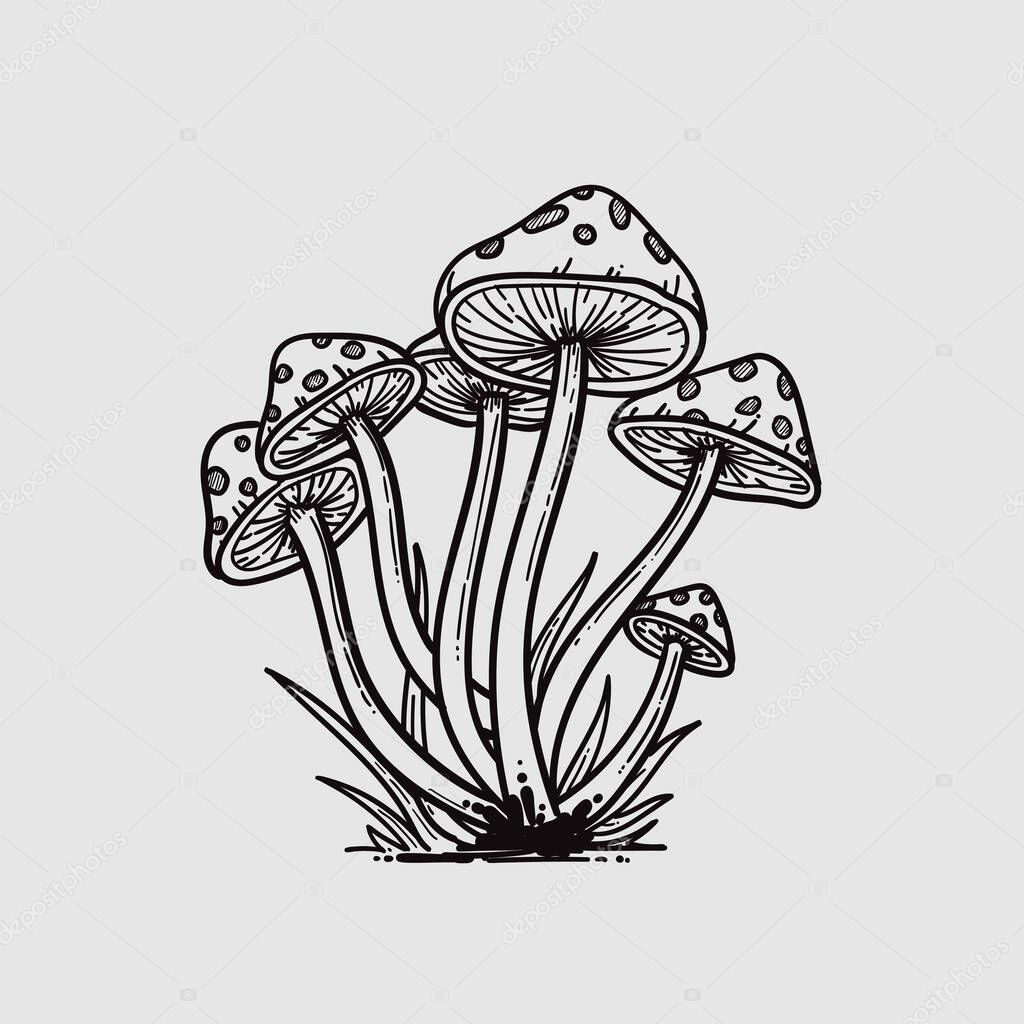 The hand-drawn amanita muscaria mushrooms isolated on gray background