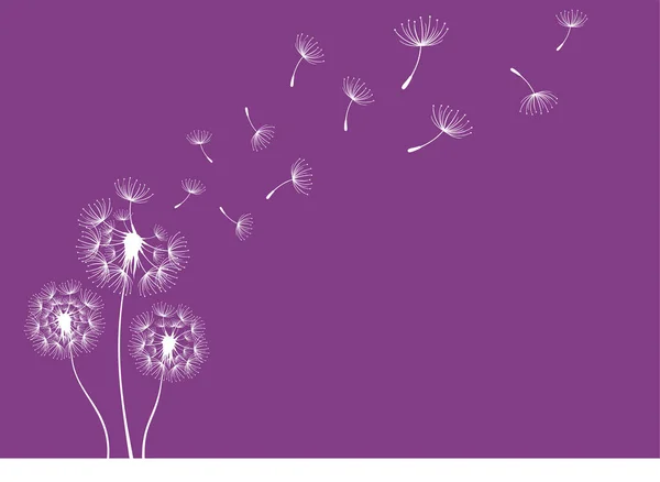 Les Graines Pissenlit Volant Les Papillons Isolés Sur Fond Violet — Image vectorielle