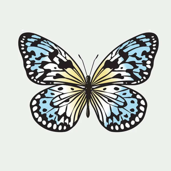 Ένα Πολύχρωμο Εικονίδιο Πεταλούδας Απομονωμένο Λευκό Φόντο — Διανυσματικό Αρχείο