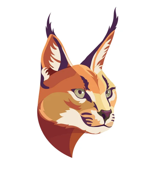 Hermoso Caracal Ojos Verdes Aislado Sobre Fondo Blanco — Vector de stock