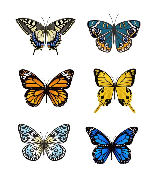 Ensemble Icônes Papillon Coloré Isolé Sur Fond Blanc — Image vectorielle