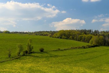 Almanya 'daki Eifel Ulusal Parkı' nda güzel bir çayırın hava manzarası.