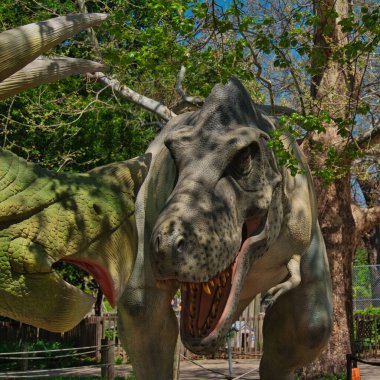 Topeka Hayvanat Bahçesi ve Koruma Merkezi 'ndeki Raptor ve Triceratops arasındaki animatronik savaş