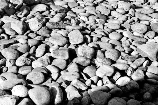 Ένα Γκρί Κοντινό Πλάνο Λείων Βράχων Στην Παραλία — Φωτογραφία Αρχείου